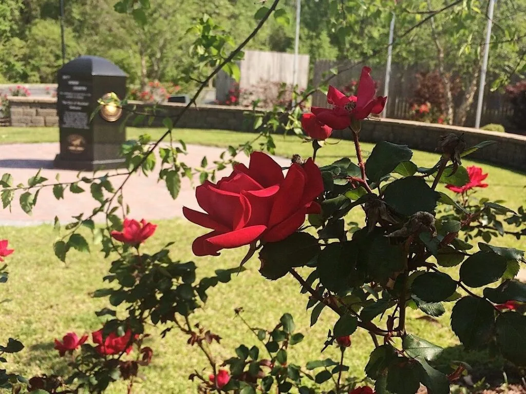 havelock-tourist-and-event-center-venue-Rose