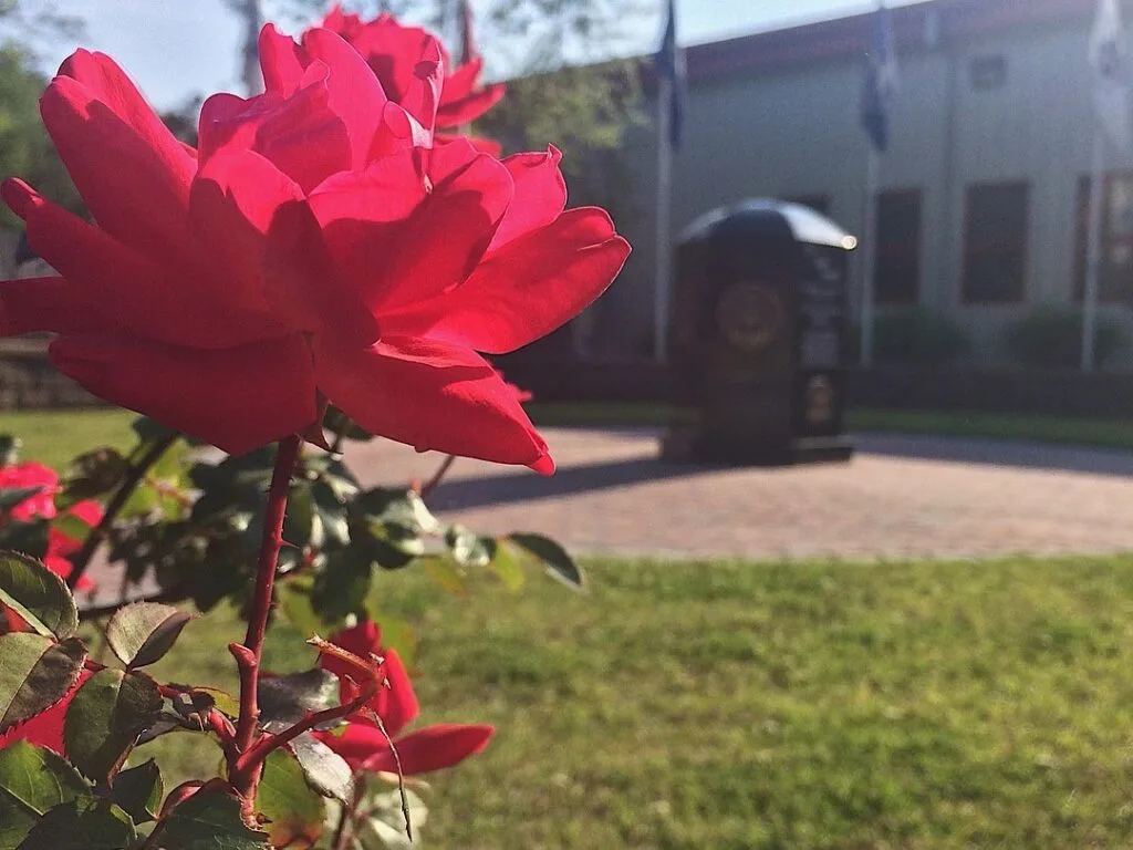 havelock-tourist-and-event-center-venue-Roses